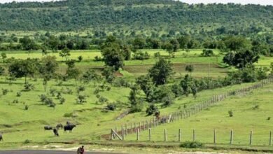 HYDRAA Warns Against Buying Farm Land in Suburban Areas of Hyderabad