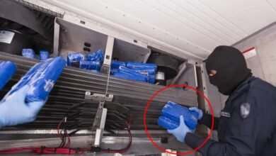 Saudi Arabia 46 Kg Cocaine Found Hidden in Frozen Chicken Shipment