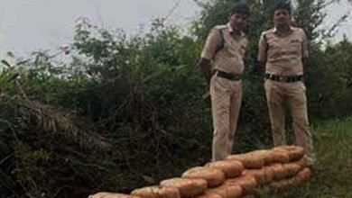 Huge Ganja Seizure in Aswaraopet Telangana