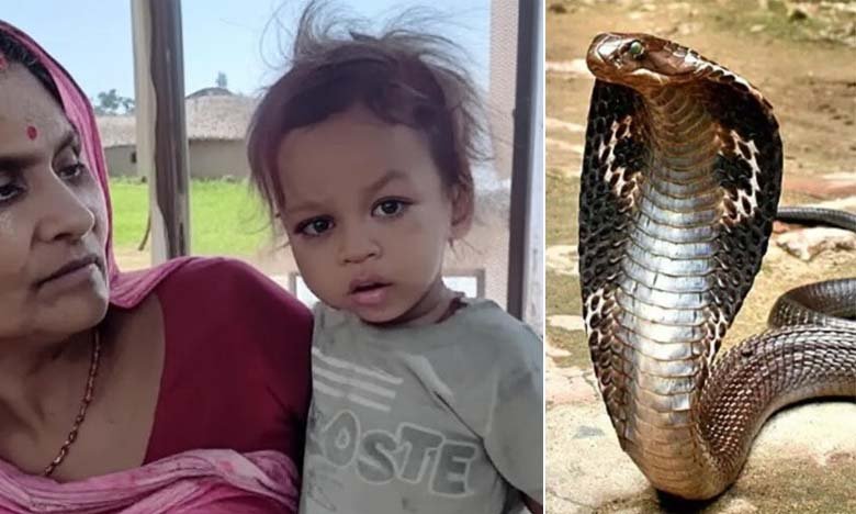 Unbelievable Baby Bites Cobra to Death in Bihar