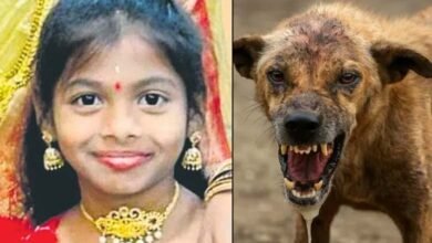 10-Year-Old Girl Dies of Rabies After Stray Dog Bite in Nizamabad