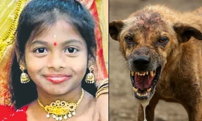 10-Year-Old Girl Dies of Rabies After Stray Dog Bite in Nizamabad