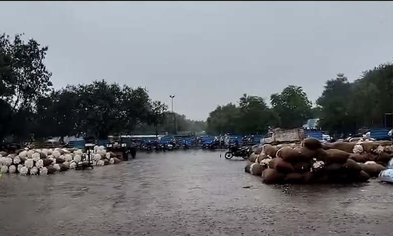 Heavy Rain Lashes Warangal Roads Flooded Farmers and Residents Affected