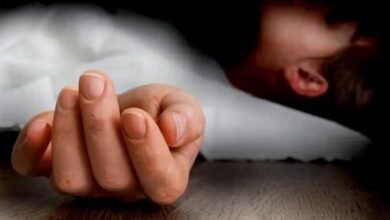 Telangana 18-Month-Old Baby Dies After Falling Under Auto in Salampad Village