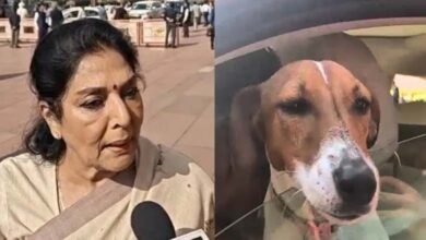 Congress MP Renuka Chowdhury Brings Dog to Parliament Says He Doesnt Bite Those Inside Do BJP Objects