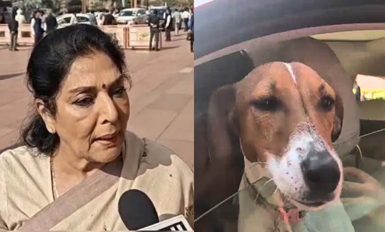 Congress MP Renuka Chowdhury Brings Dog to Parliament Says He Doesnt Bite Those Inside Do BJP Objects