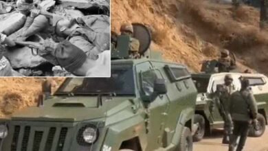 10 Soldiers Killed 11 Injured as Army Vehicle Falls into Gorge in Jammu