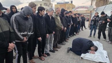 8 Palestinians Killed in Gaza in 24 Hours as Death Toll Crosses 72000 Health Ministry