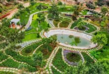 Let’s Explore the Eco Park: A Must-Visit Green Destination in Hyderabad