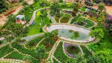 Let’s Explore the Eco Park: A Must-Visit Green Destination in Hyderabad