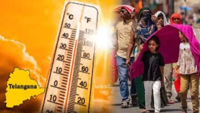 Heatwave Claims 51 Lives Across Telangana as Temperatures Continue to Rise