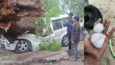 Storms and Heatwave Ravage North India 104 Dead in UP Rajasthan on Red Alert